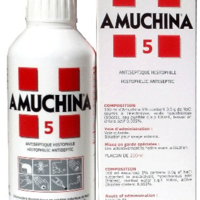 Amuchina 5%