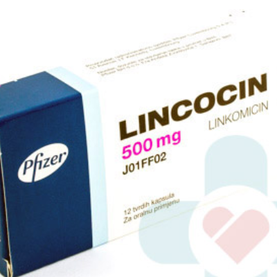 Lincocine 500 mg Gélule