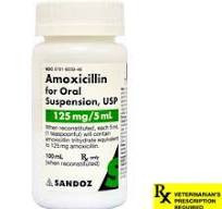amoxicilline ubi