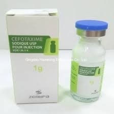 CEFOTAXIME 1 g pdre susp. inj. fl/5 ml