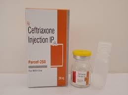 CEFTRIAXONE 250 mg amp. inj.