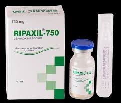 Ceflamox 750 mg Injectable